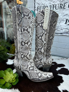 Corral- Tall Snake Skin